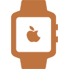 Apple Watch Repair